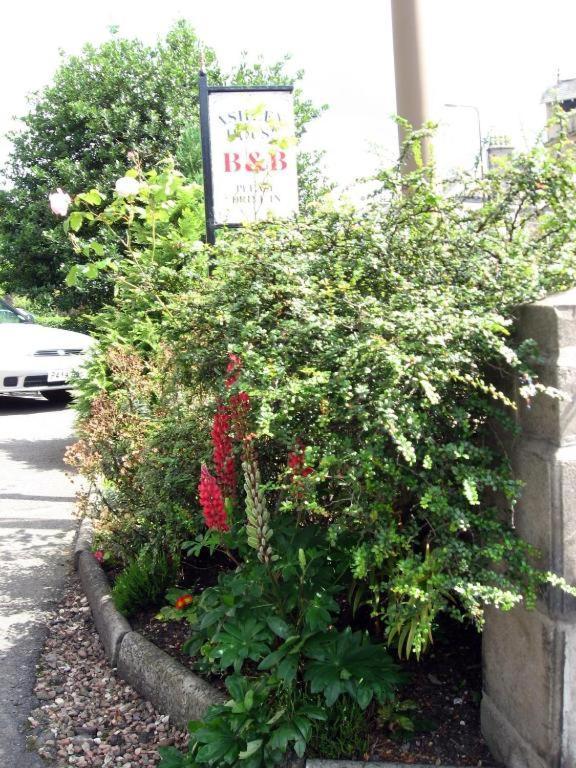 Ashley House Bed & Breakfast Dundee Luaran gambar