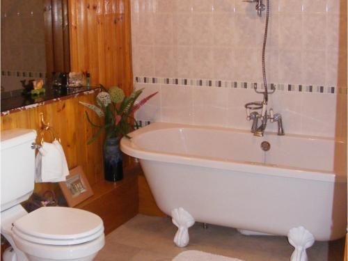 Ashley House Bed & Breakfast Dundee Luaran gambar